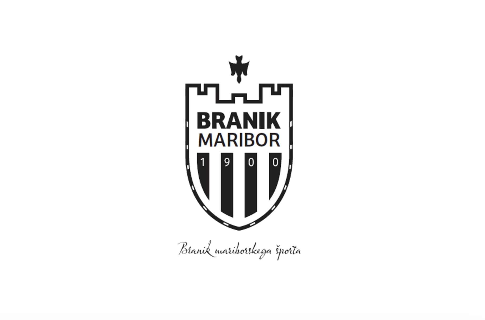 zmsd_branik